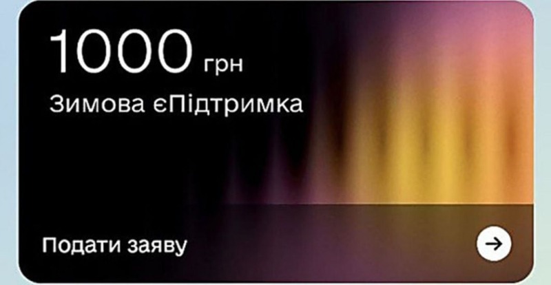 Стало известно, на что украинцы потратили средства в рамках программы "єПідтримка" – отчет Минэкономики